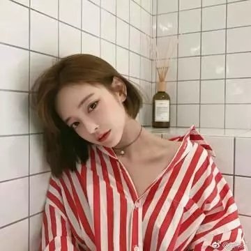 我的小狮王