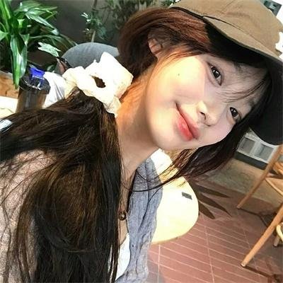 豹